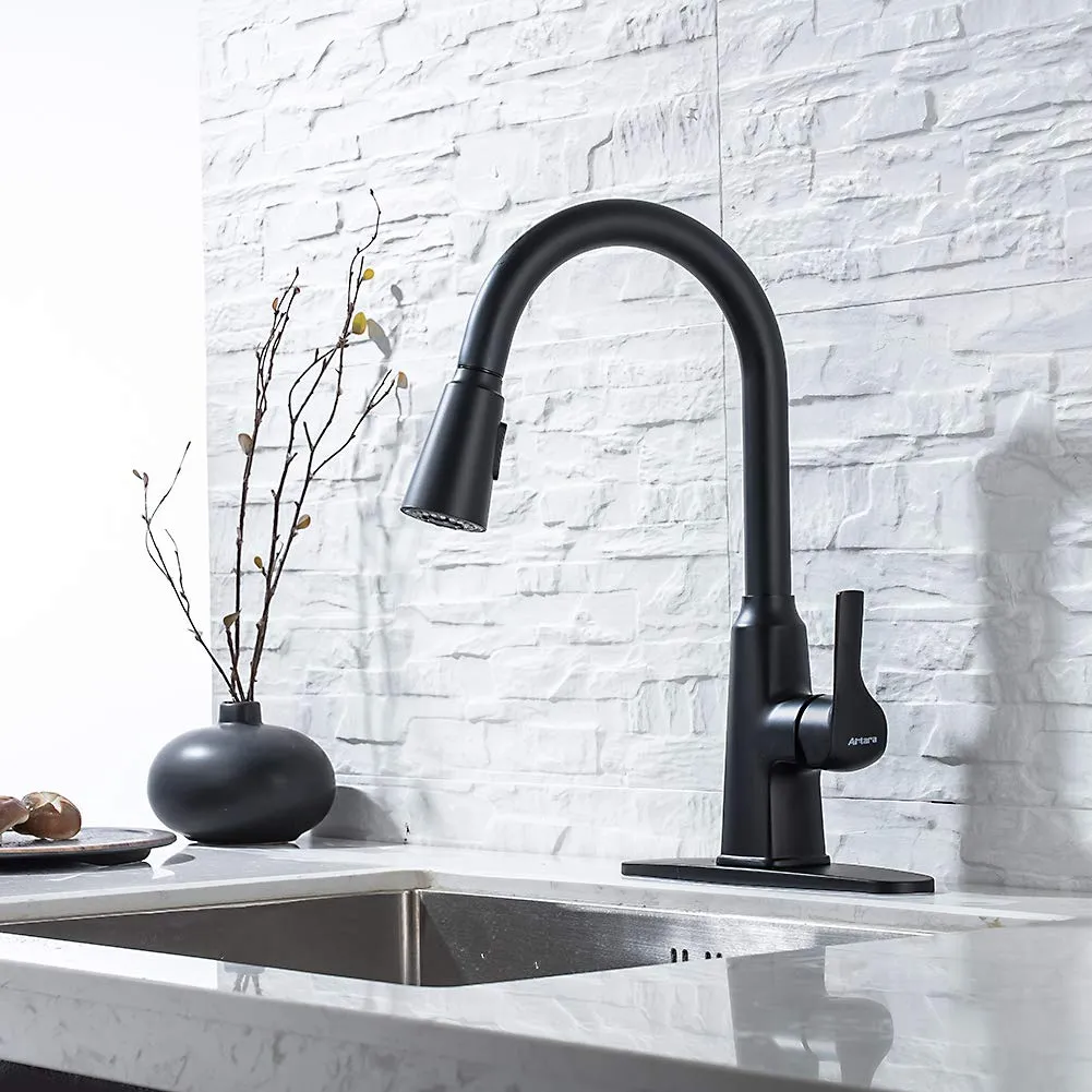 Matte Black SUS304 Stainless Steel Kitchen Faucet with Pull Down Sprayer